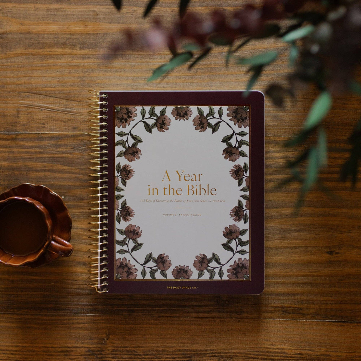 A Year in the Bible | 365 Days of Discovering the Beauty of Jesus from ...