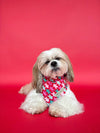 Rosewood Tartan + Gingerbread - Reversible Dog Bandana