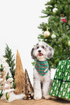 Santa + Royal Stewart Plaid - Reversible Dog Bandana