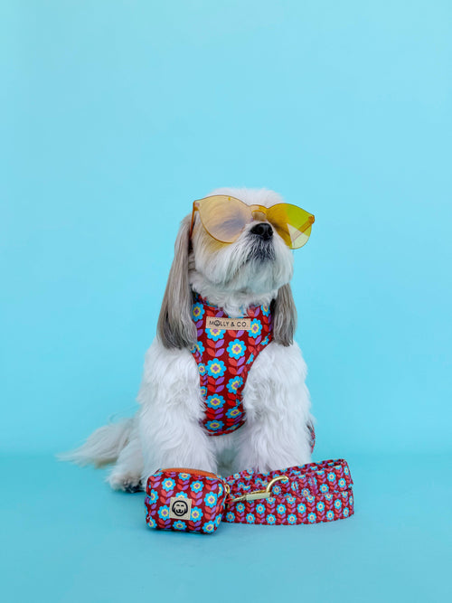 Poppy - Dog Poop Bag Holder