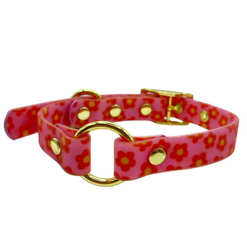 Wildflower - Splashproof Dog Collar