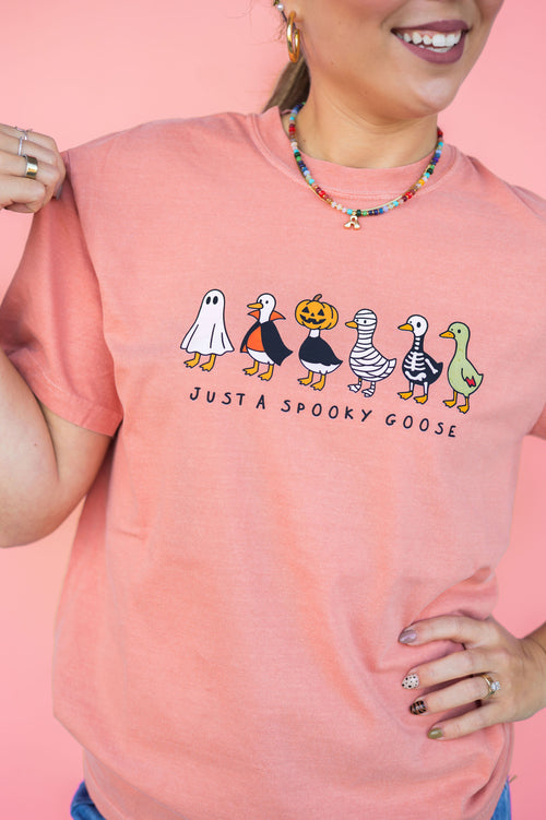 Just A Spooky Goose Tee: Youth & Adult