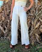Model wearing ecru high-waisted pleated trousers with a flared wide-leg silhouette, a zipper fly, and a button closure.